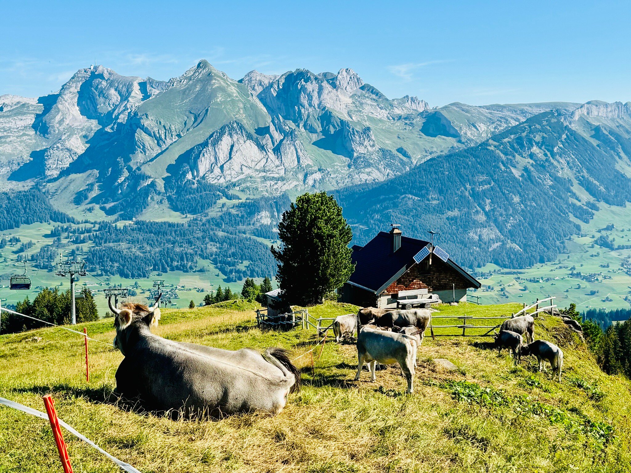 Berggasthaus Gamsalp-官方