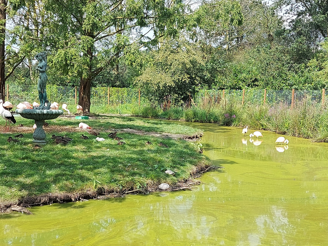 Zoo Veldhoven景点图片