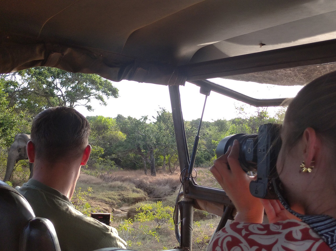 Ruwan Yala Jeep Safari景点图片
