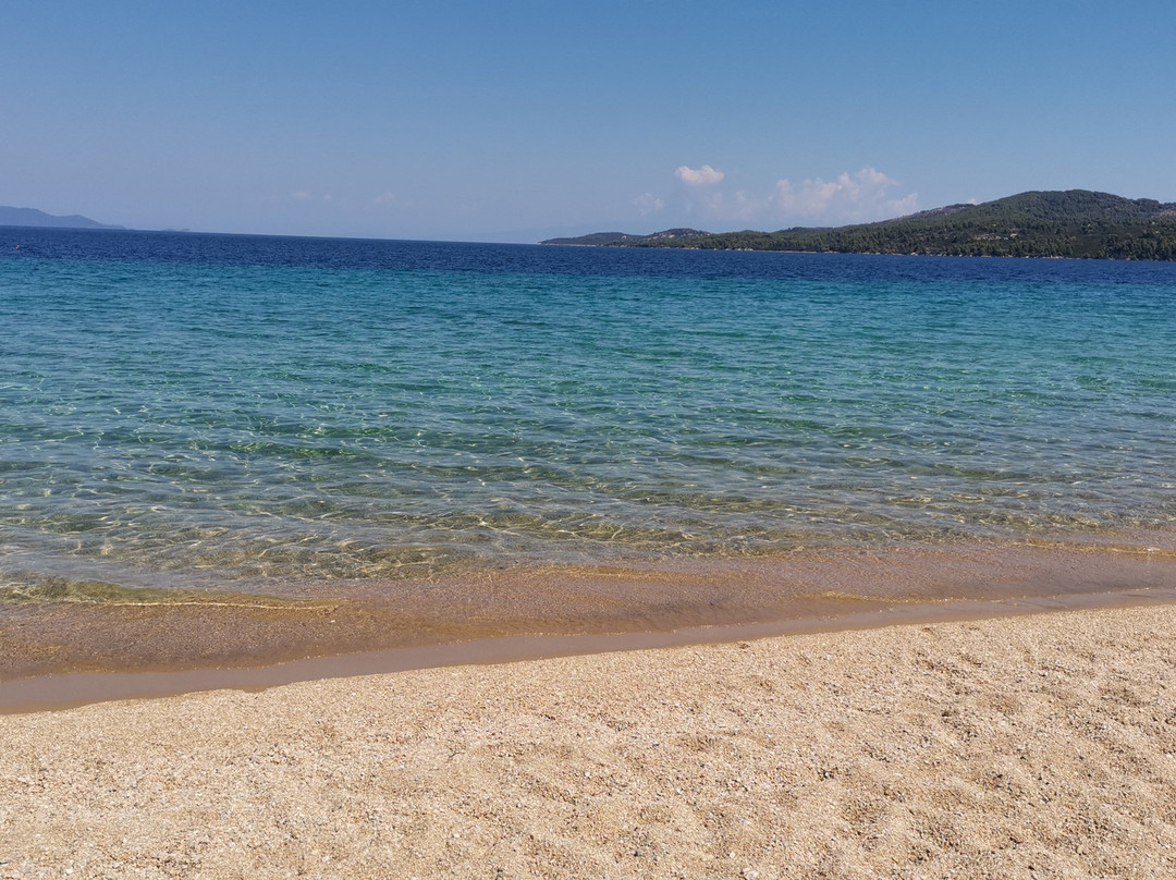 Kalamitsi Beach景点图片