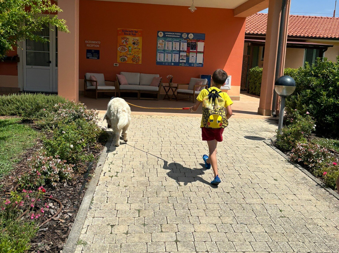 Residence Rosa dei Venti主图