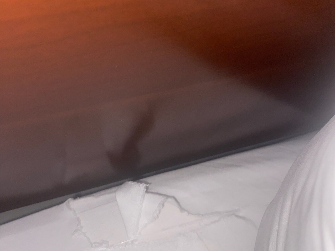 Comfort Suites Fredericksburg North主图