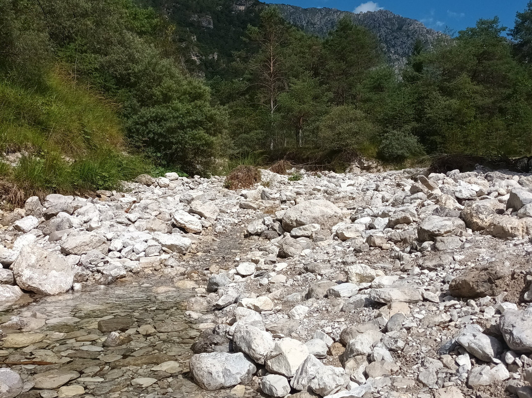 Area Pic Nic Val Di Bondo景点图片