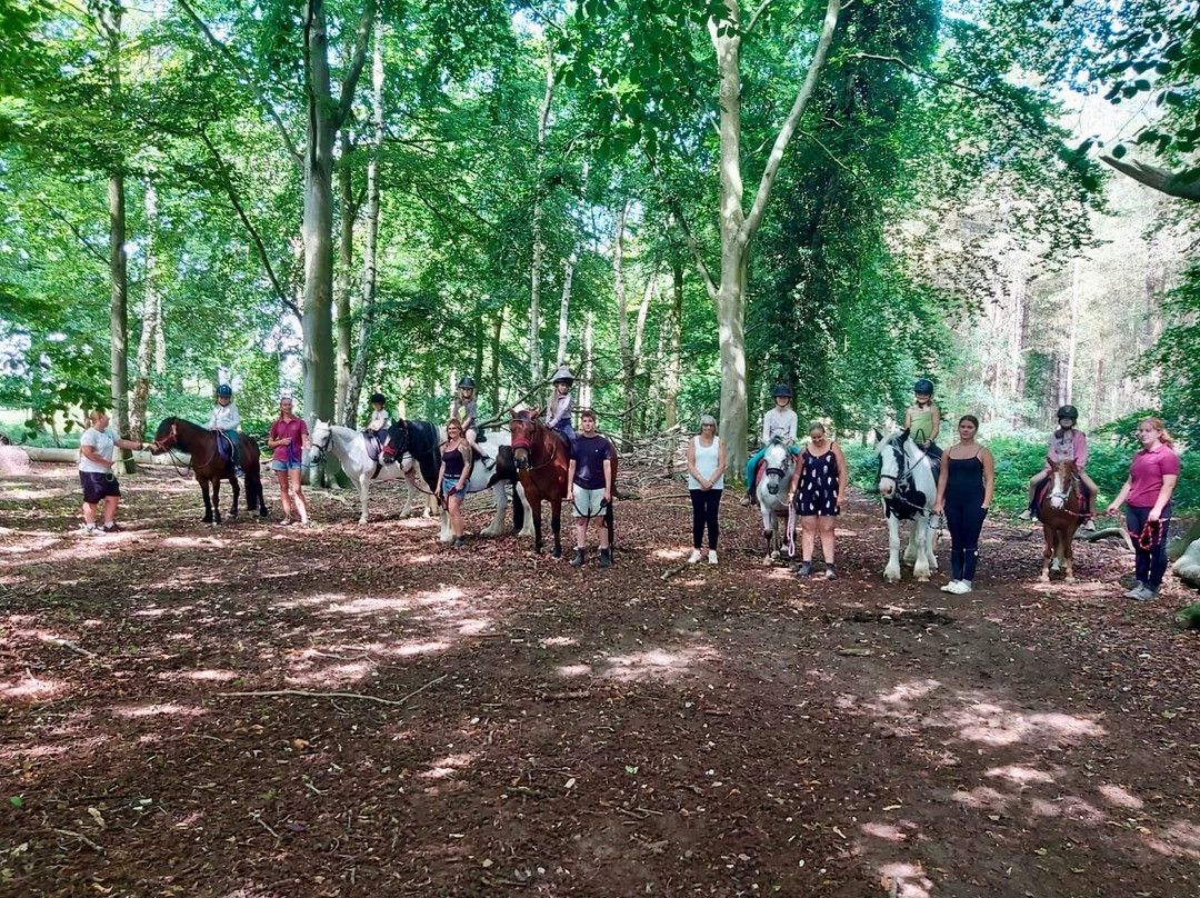Pony Trekking Thetford Forest-Brandon必去景点