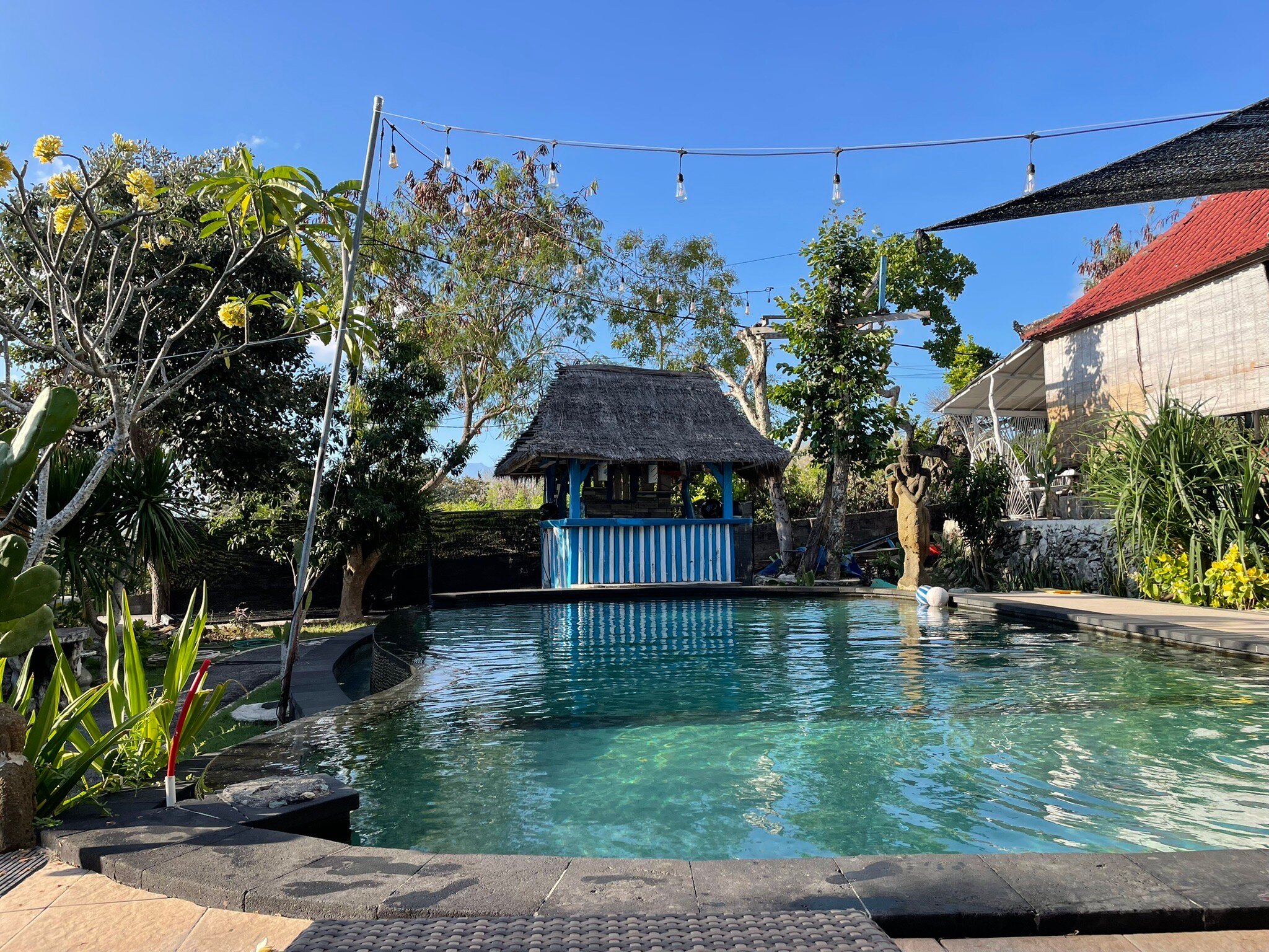 The Dafish Ceningan-官方