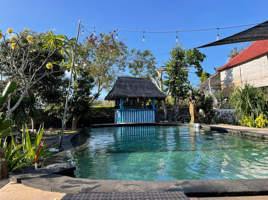 The Dafish Ceningan主图