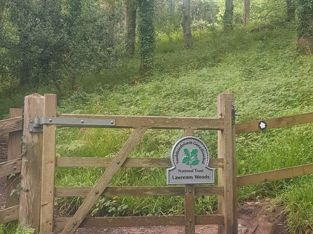 Lawrenny Wood景点图片
