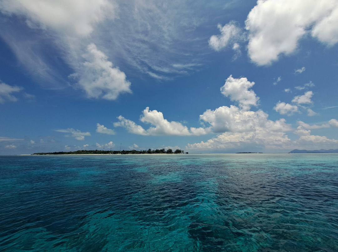 Seabunny Scubacations-仙本那必去景点