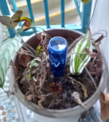 Charco Corazon主图