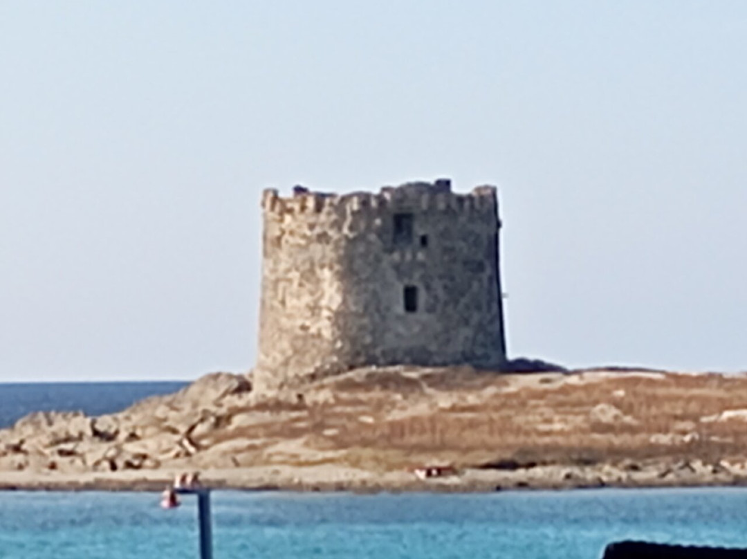 Spiaggia della Pelosetta-斯廷蒂诺必去景点