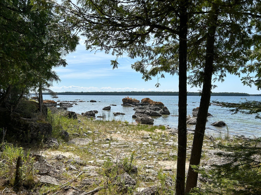 Bush Bay Trail Narnia Trail景点图片