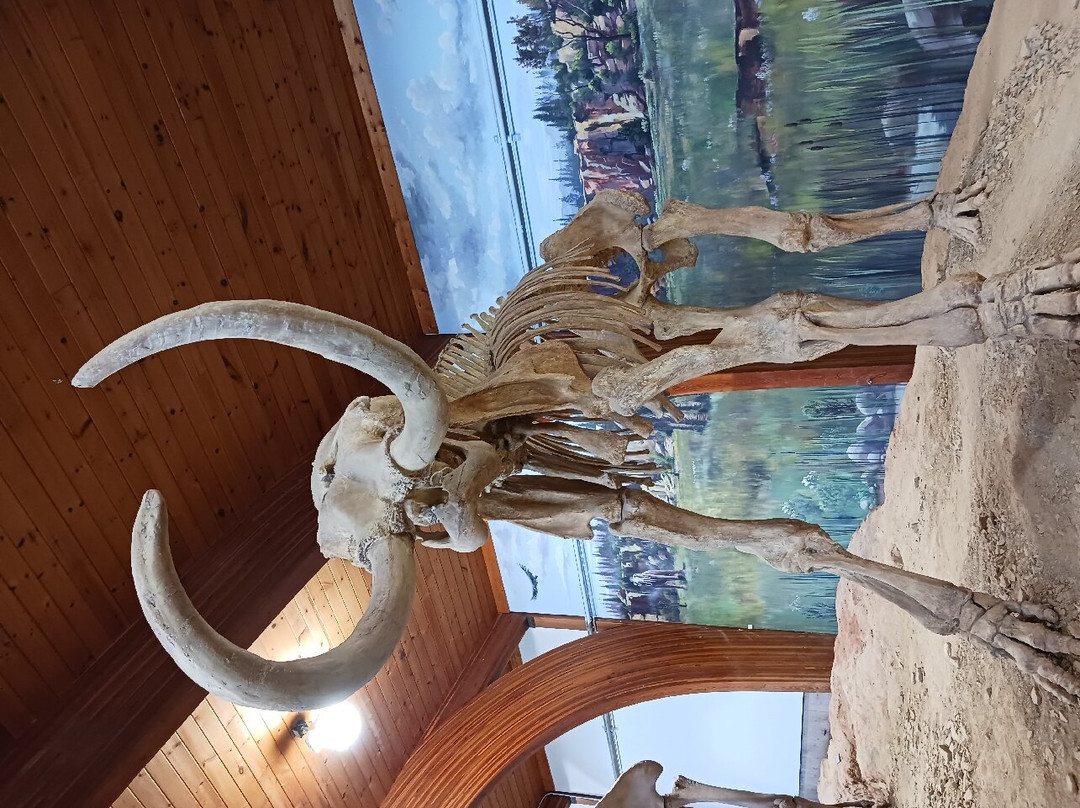 The Mammoth Site of Hot Springs-温泉城必去景点