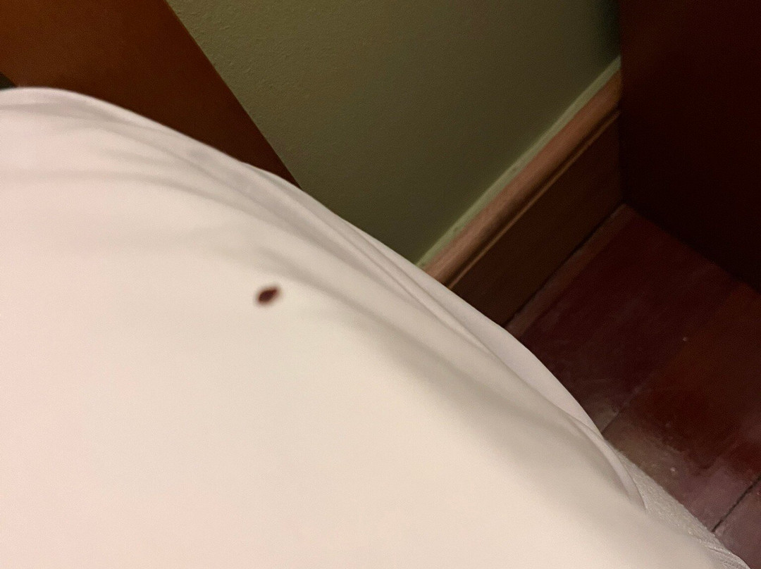 欧科尔莫酒店主图