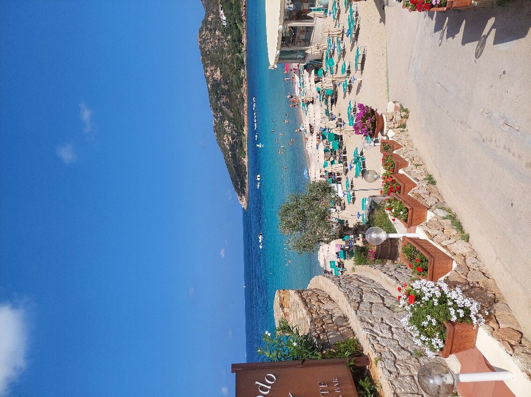 Spiaggia dei Pini-里瓦德尔加尔达必去景点