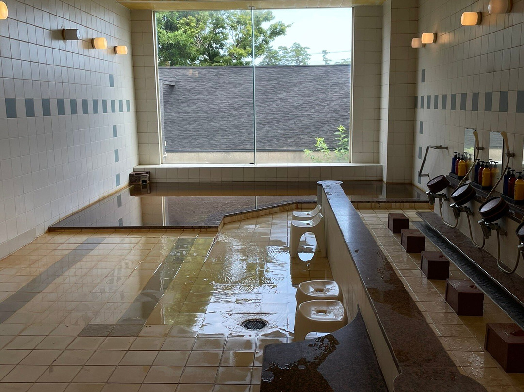 Shirako New Seaside Hotel主图