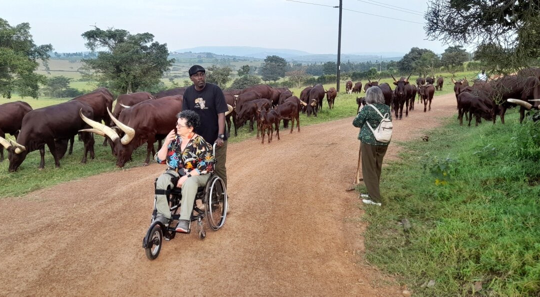 Wild Expeditions Uganda-恩德培必去景点