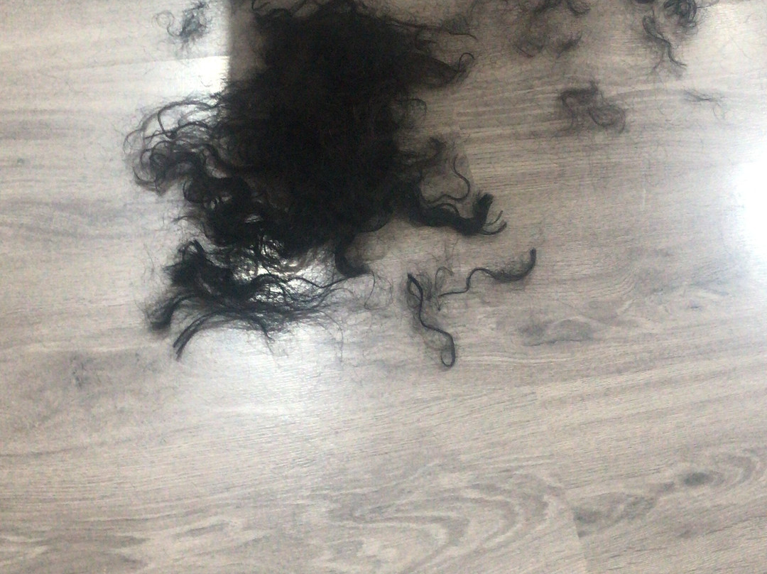 Litas Peluqueria y Estetica景点图片