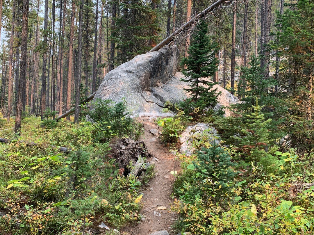 Lava Lake Trail-Gallatin Gateway必去景点