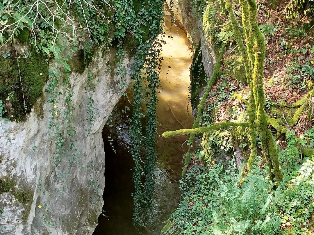 Gorges Du Sierroz景点图片