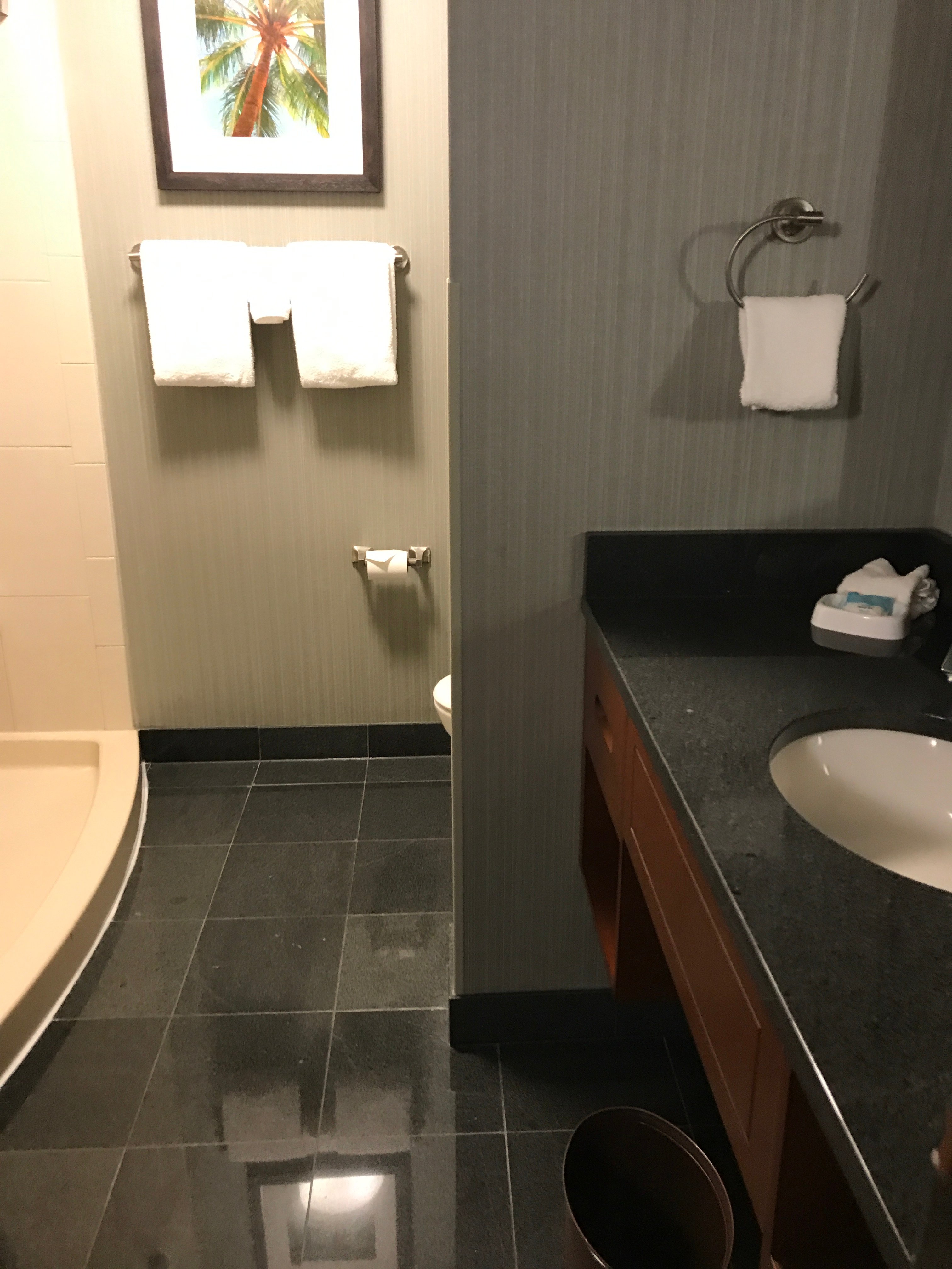 Drury Inn & Suites Gainesville-浴室