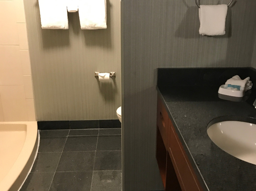 Drury Inn & Suites Gainesville主图