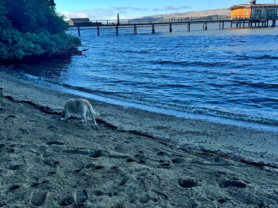 Dancing Coyote Beach主图