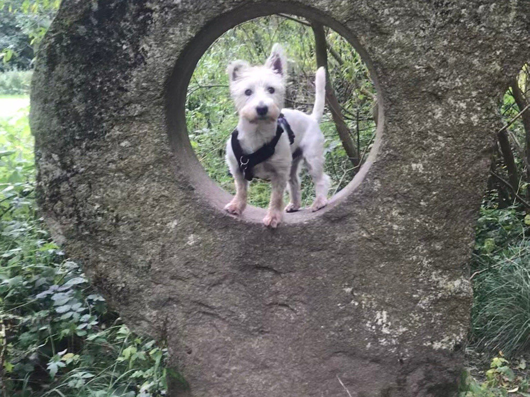 Guisborough Forest & Walkway Visitor Centre-Guisborough必去景点