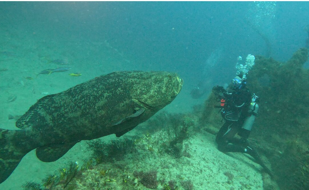 Jupiter Scuba-朱庇特必去景点