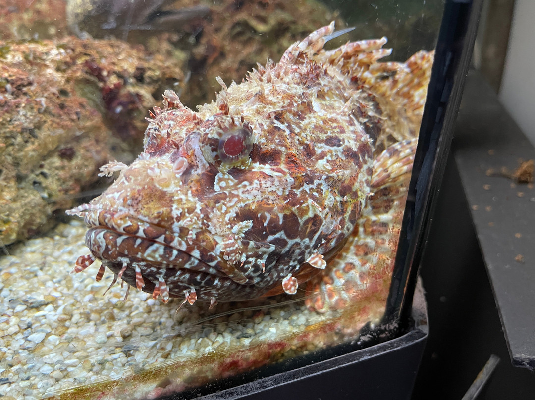 Public Aquarium and Tropicarium Belgrade-贝尔格莱德必去景点