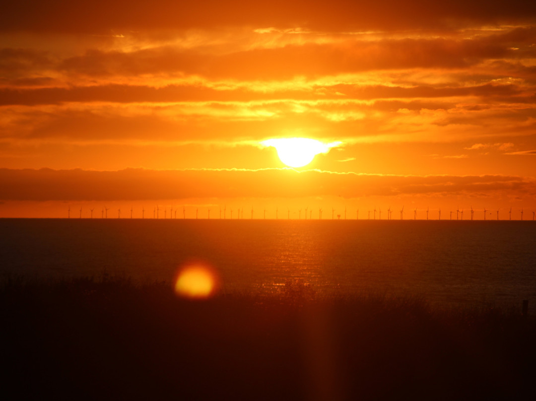 Strand van Wijk aan Zee-Wijk aan Zee必去景点