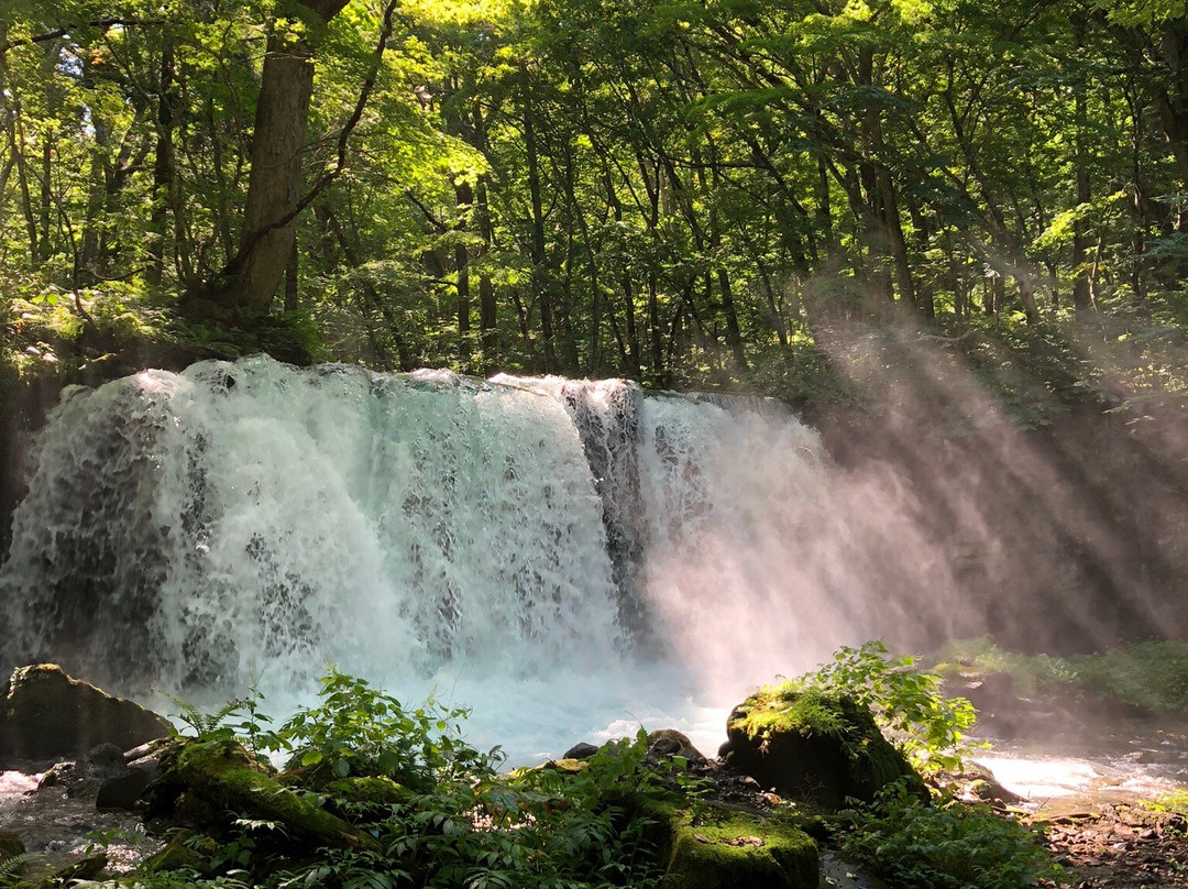 Choshi Otaki Waterfall景点图片