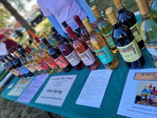 Iowa Grape Vines Winery-Maquoketa必去景点
