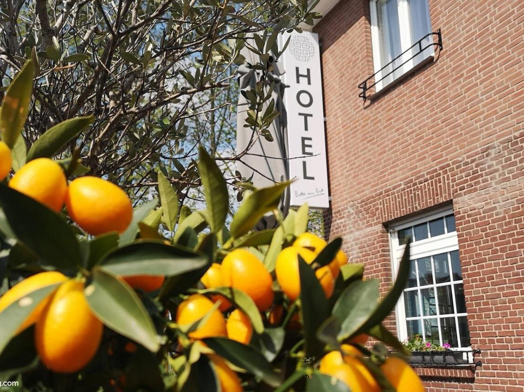 Hotel Restaurant Haus Korfu主图