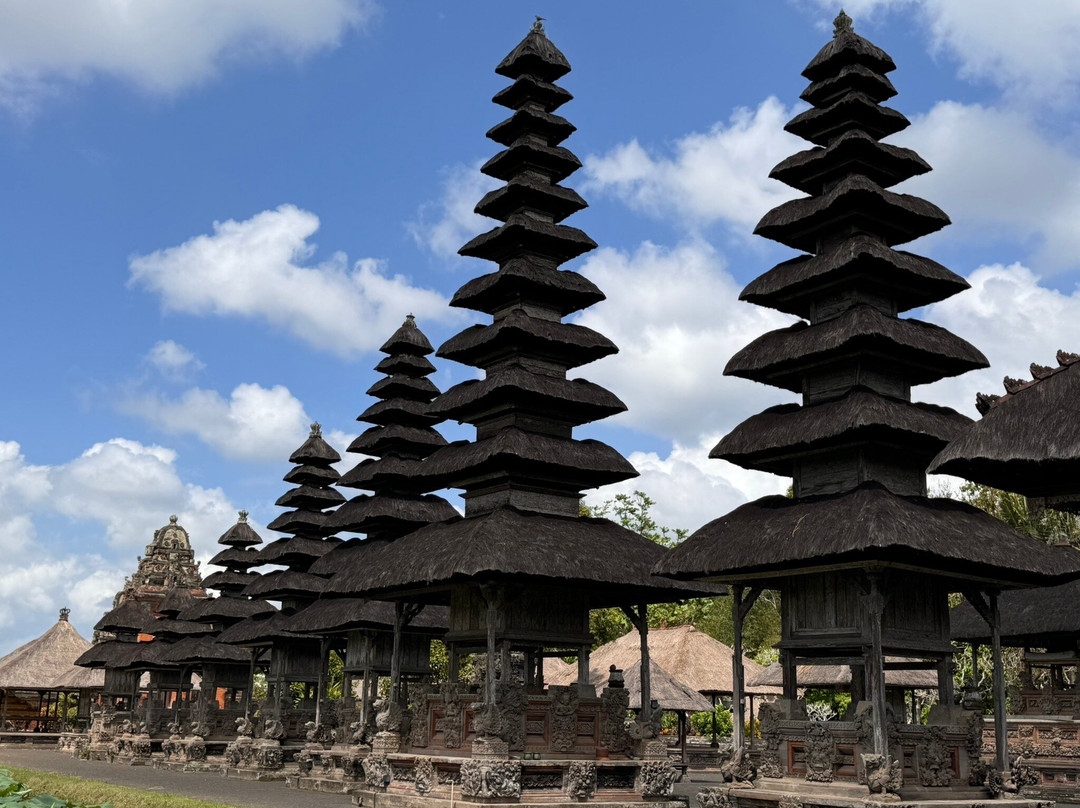 Bali Exotique-沙努尔必去景点