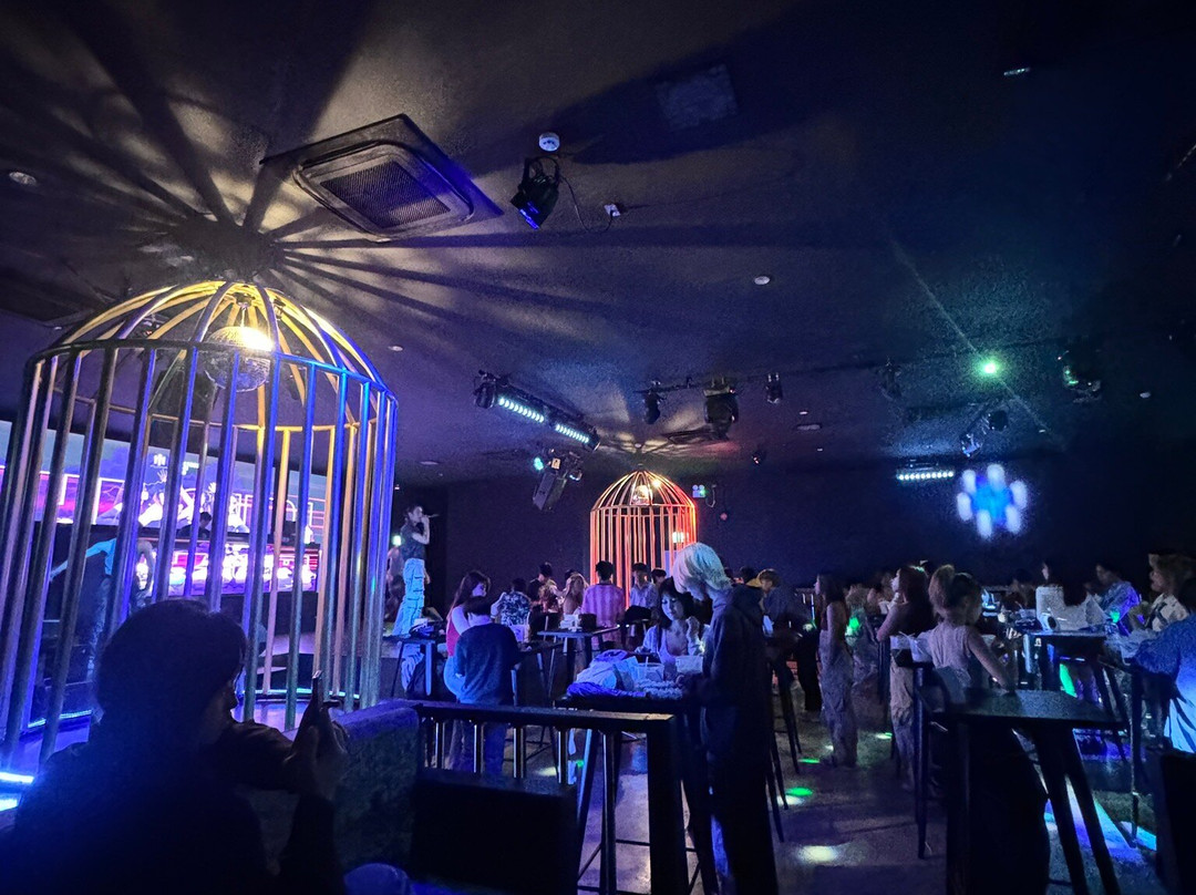 Hollywood Night Club Chiang Mai-清迈必去景点