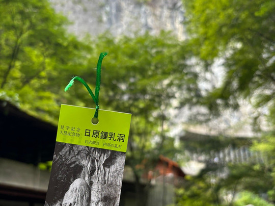 Nippara Limestone Caves-奥多摩町必去景点