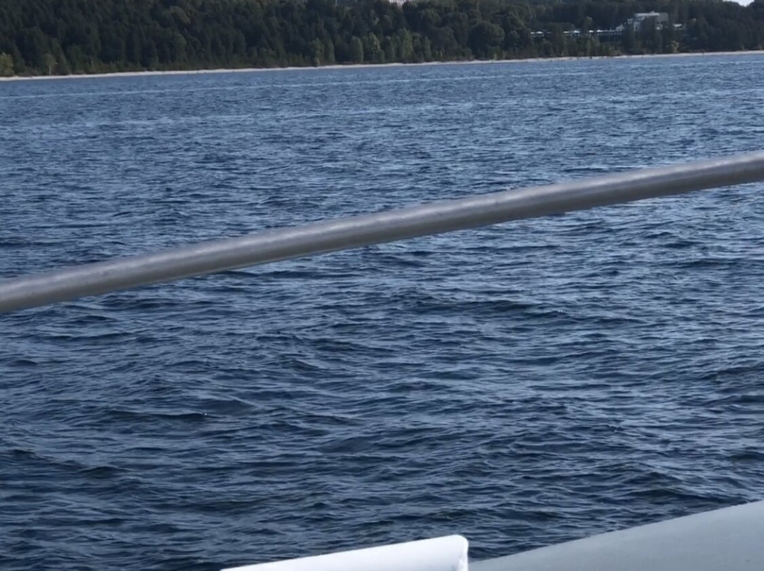 Shepler's Mackinac Island Ferry景点图片
