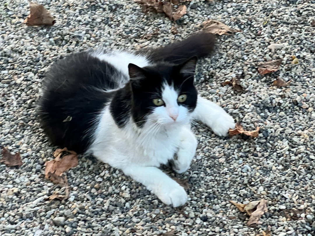 Cedar Valley Resort主图