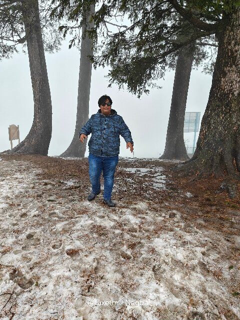 Gulmarg Zahgeer Continental主图