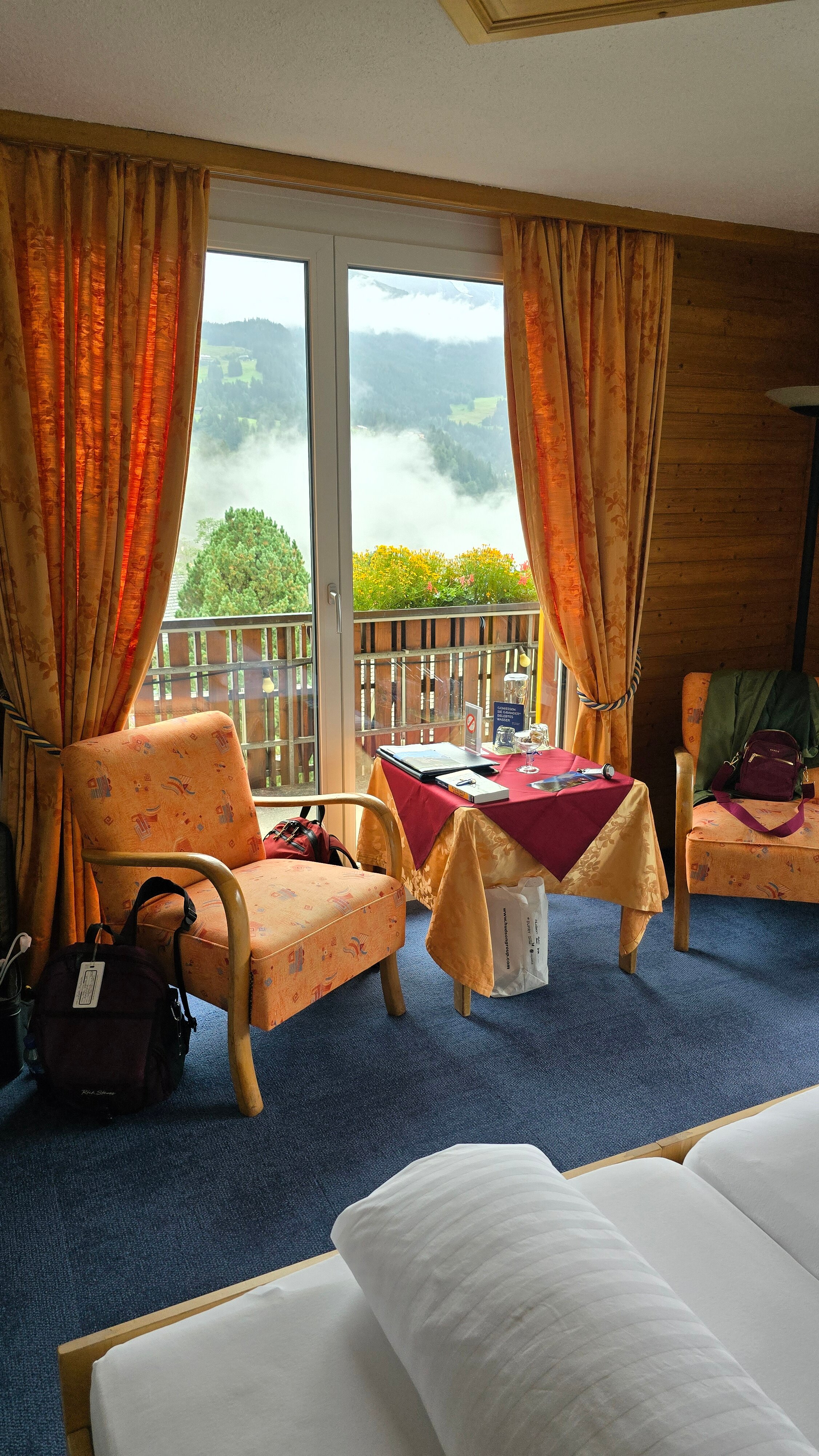 Hotel Bellevue-客卧