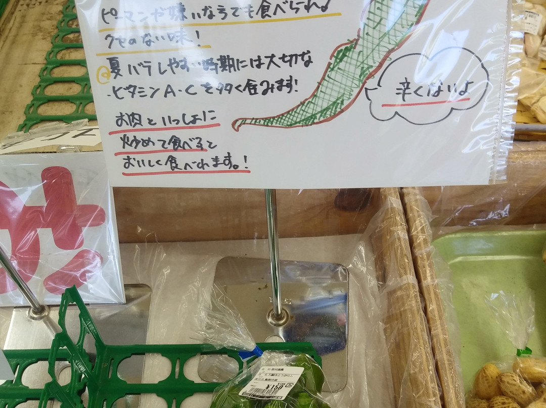 Morning Taking Farm Komago-日高市必去景点