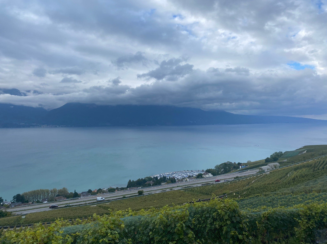 Maurice Neyroud-Chardonne必去景点