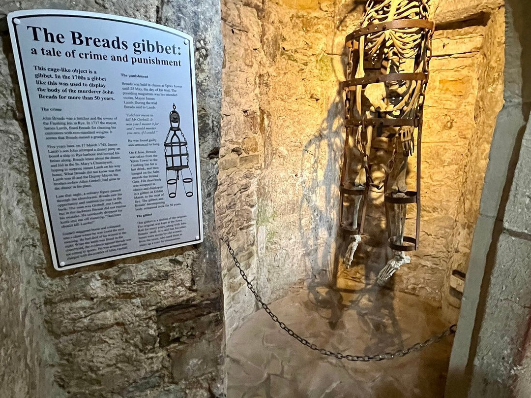 Ypres Tower Museum, Rye Castle景点图片