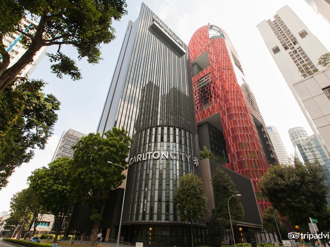新加坡卡尔登城市酒店