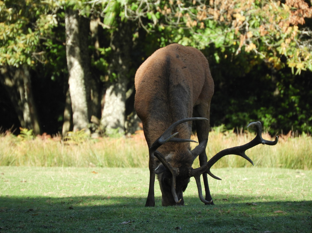 Parc Naturel de Chambaran-Saint-Pierre-de-Bressieux必去景点