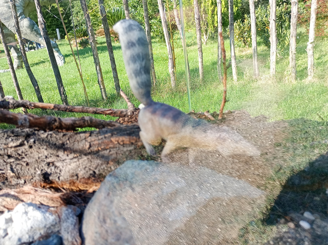 Dinosauri In Carne e Ossa - Il Parco