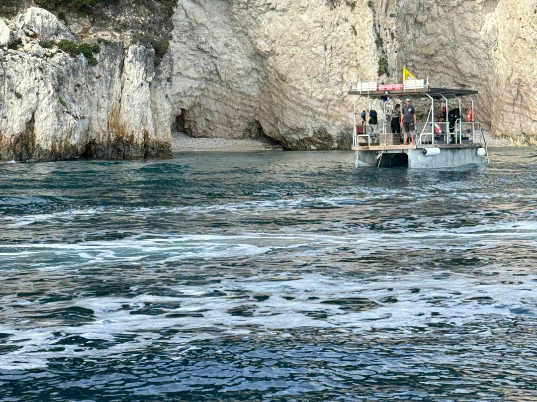 Dolphin Boat Rentals-利姆尼科利必去景点