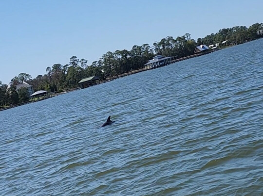 Caribe Cruiser-橙色海湾必去景点
