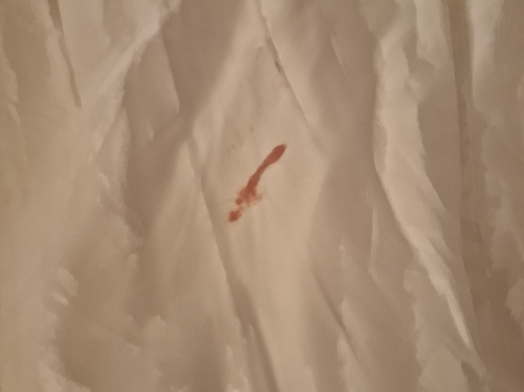 Hotel Royal Jinene & Jinene主图