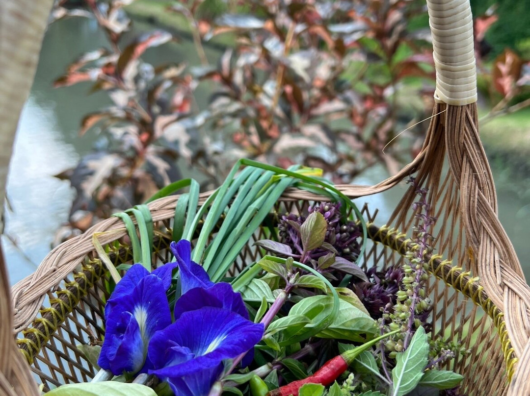 Baan Farm Thai Cooking School-清迈必去景点